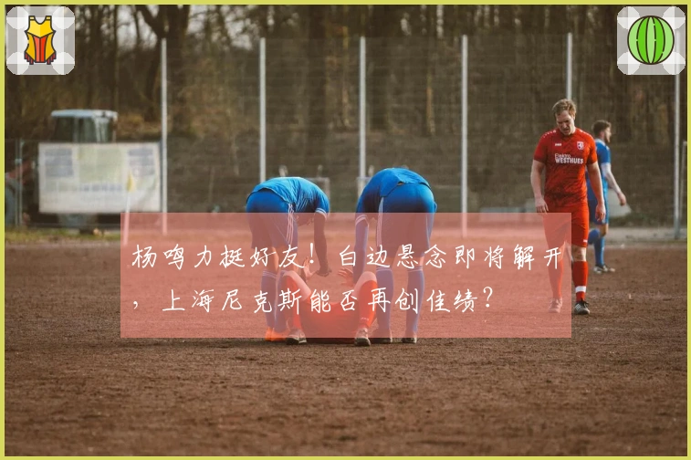 杨鸣力挺好友！白边悬念即将解开，上海尼克斯能否再创佳绩？